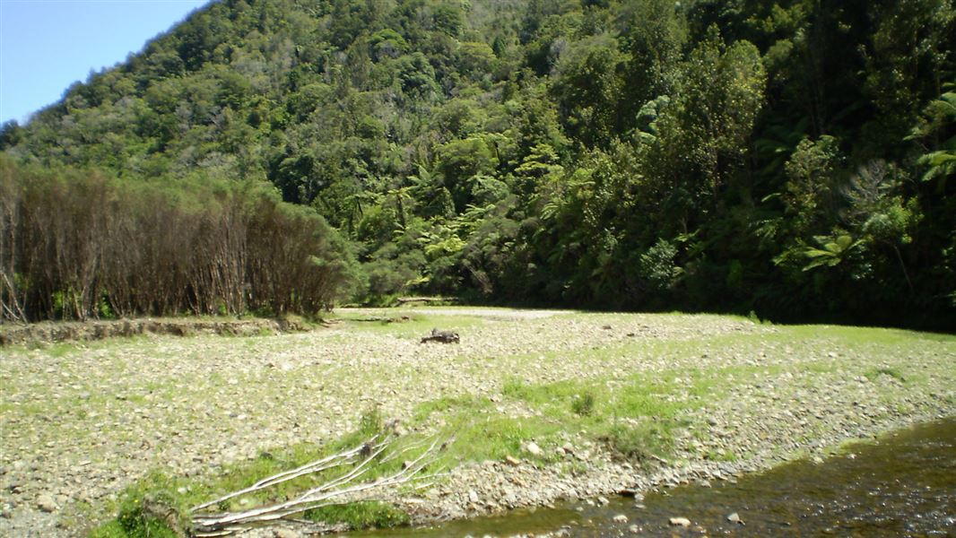 Waikawau River.