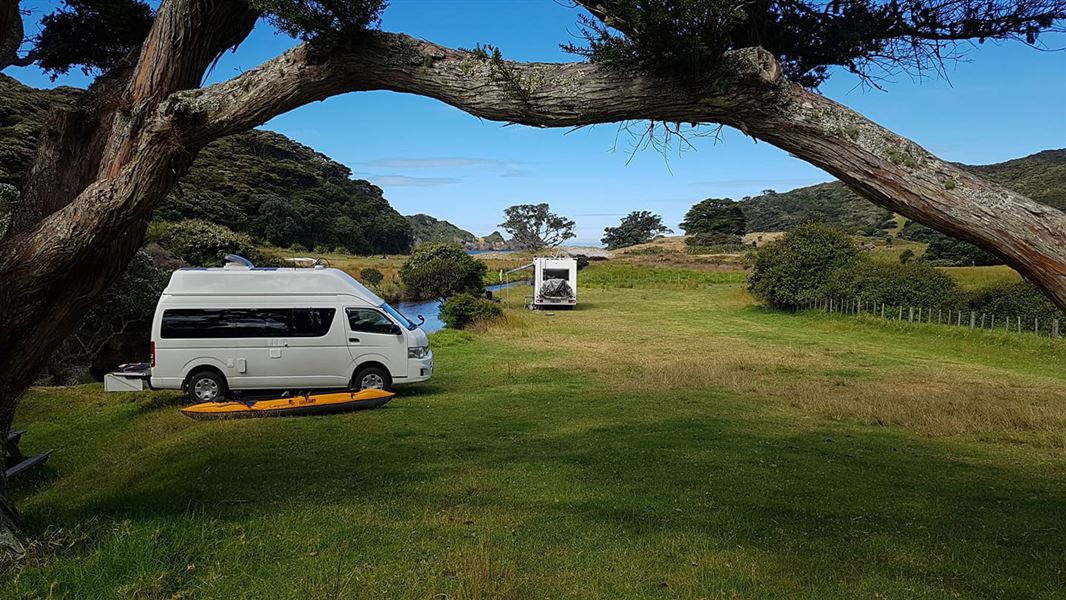 Grassy area with trees and campervans parked.