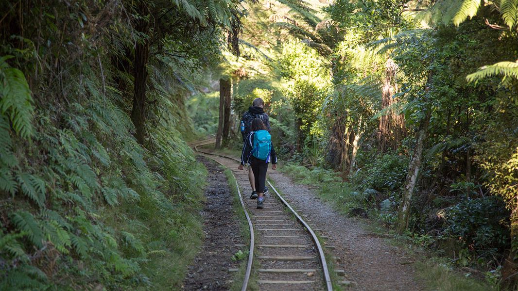 People walking on train track through trees.