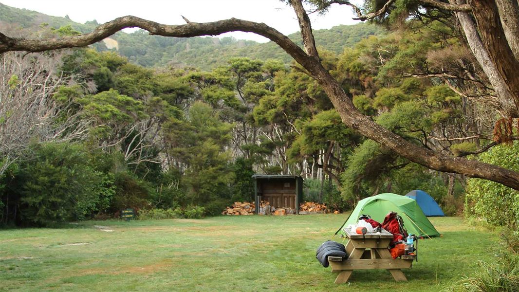 Whariwharangi Campsite. 