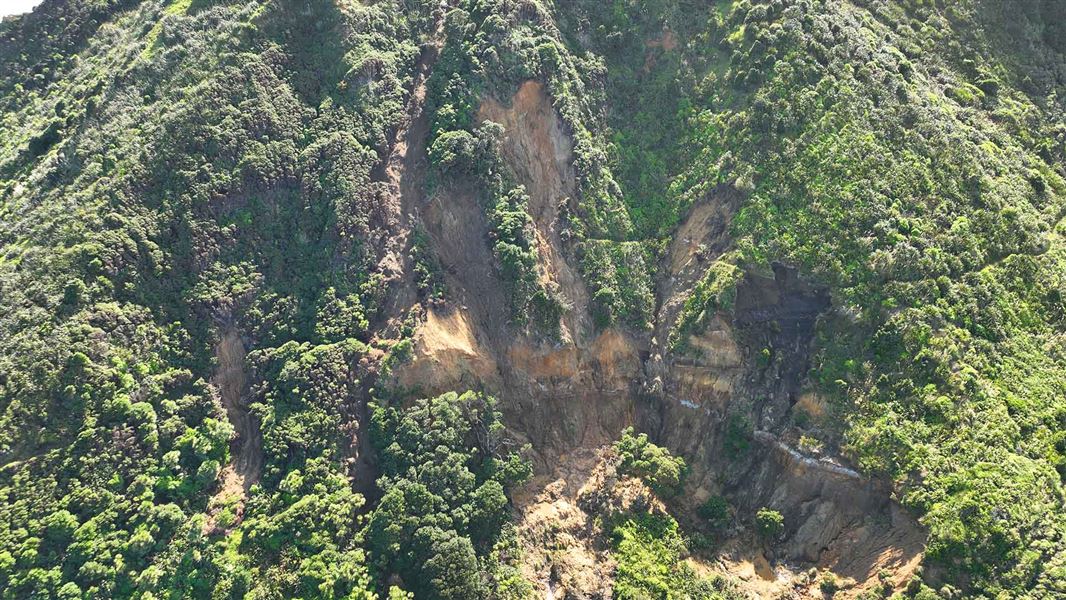 Large landslip at Te Henga Walkway following cyclone Gabrielle.