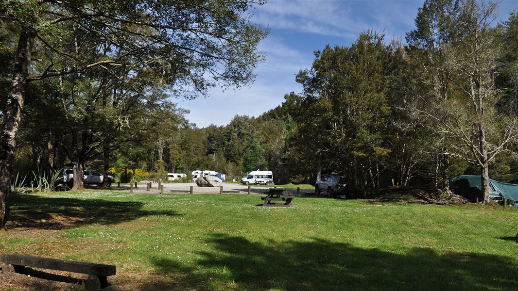 Trees and grassy area with campervans in background.