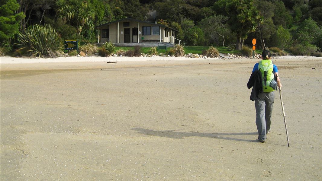 Tramper on the Abel Tasman Coast Track. 