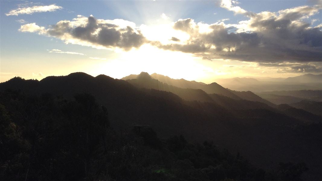 Main Tangihua ridge.