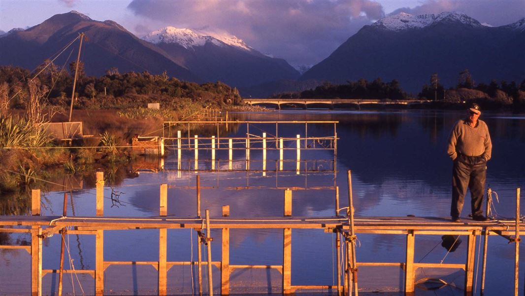 Whitebaiting, just before sunset, Okuru Estuary, Westland. 