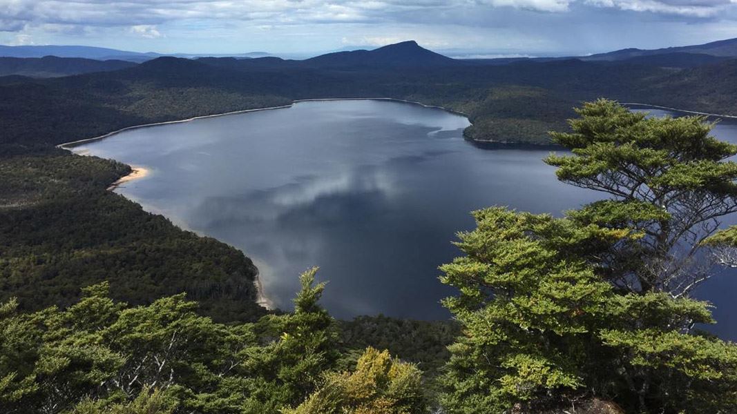 View down to a lake surrounded by bush from a high view point. 