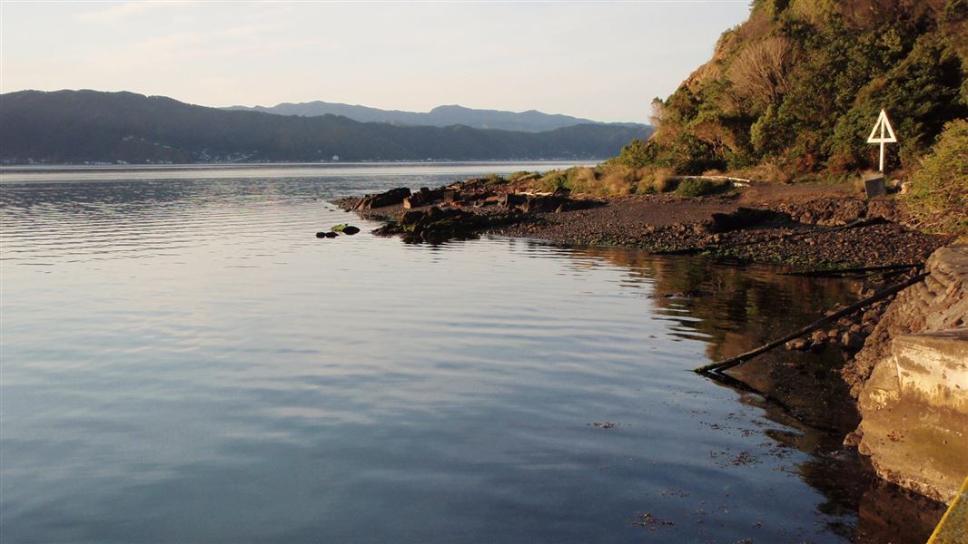 Bay in Matiu/Somes Island. 