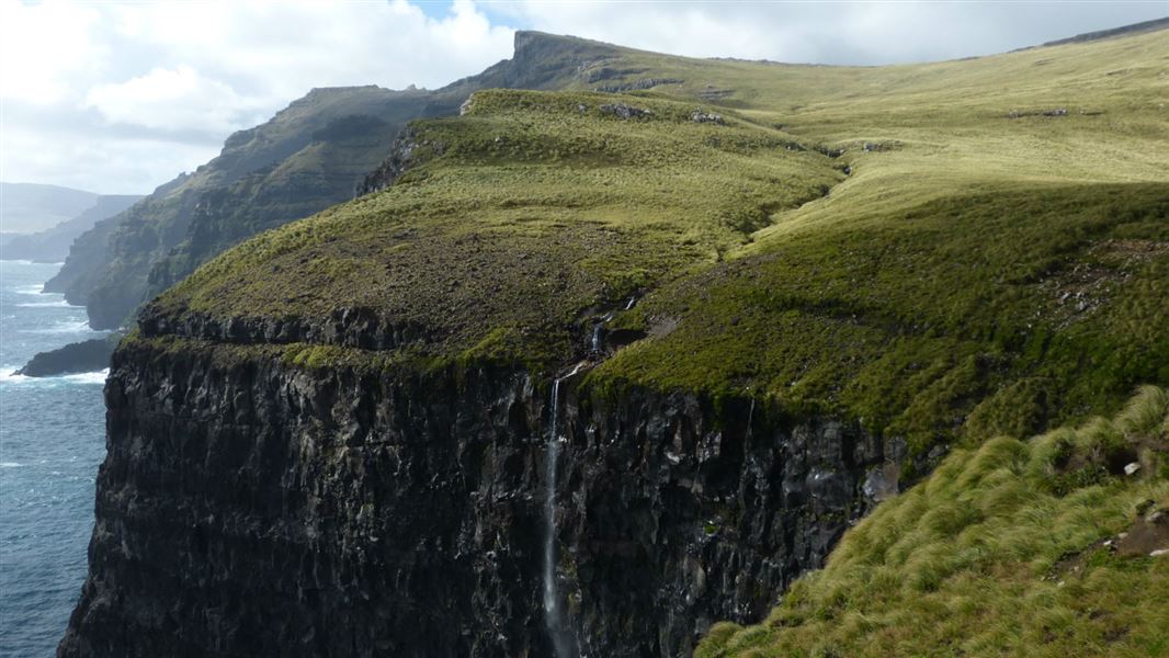 Western cliffs, Auckland Island. 