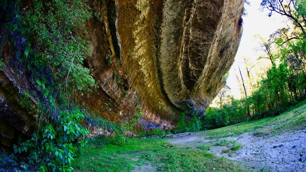 Ballroom Overhang Track: Walking and tramping in Paparoa National Park