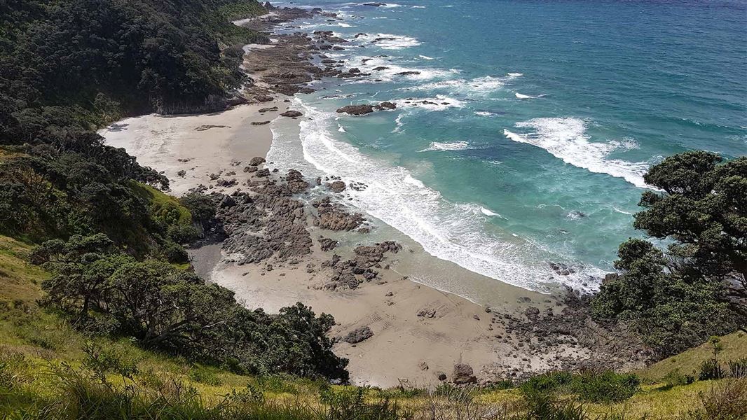 Mangawhai Cliffs Walkway