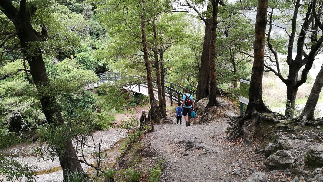 Turere Bridge, Orongorongo Track. 