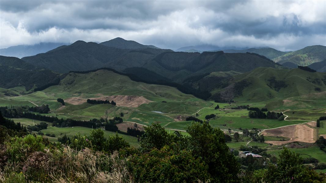 Te Arapiki o Tawhaki: Pukaha Mount Bruce National Wildlife Centre ...