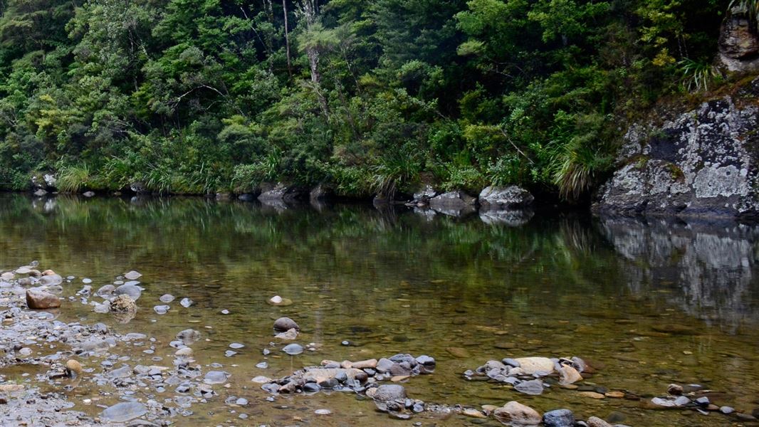 Tairua River, Broken Hills. 