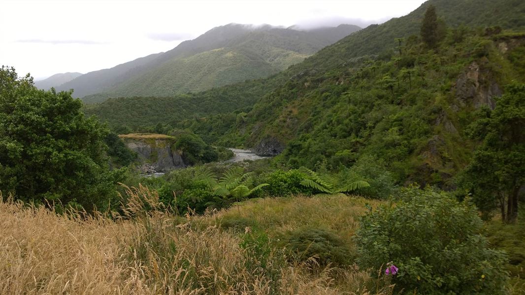 Otaki Forks area. 