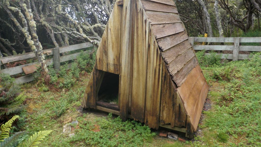 Stella Hut, Enderby Island.