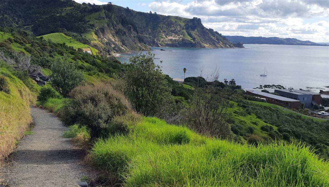 View on Goat Island walkway.