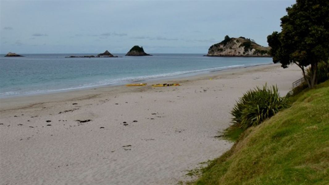 View out to sea across a sandy beach.