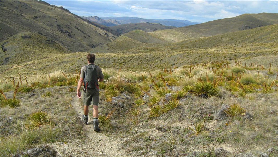 A person in hiking gear walking on a track amongst low scrub. Rolling mountains and hills fill the distance.