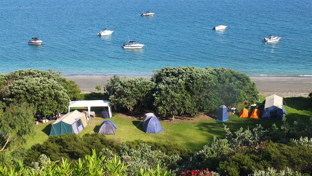 Grassy campsite by beach with trees.