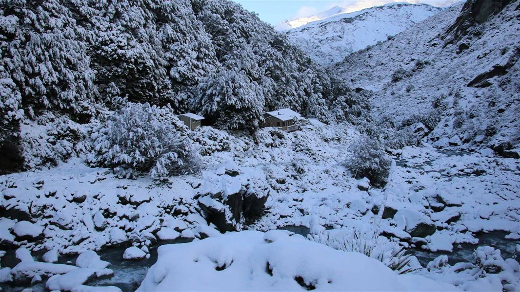 Snow blanketing tree and hills and ground and the rooftops of a small hut and outhouse. 