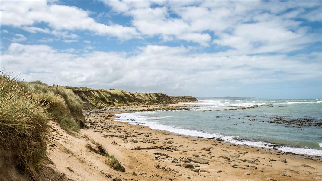 Waipapa Point, Southland