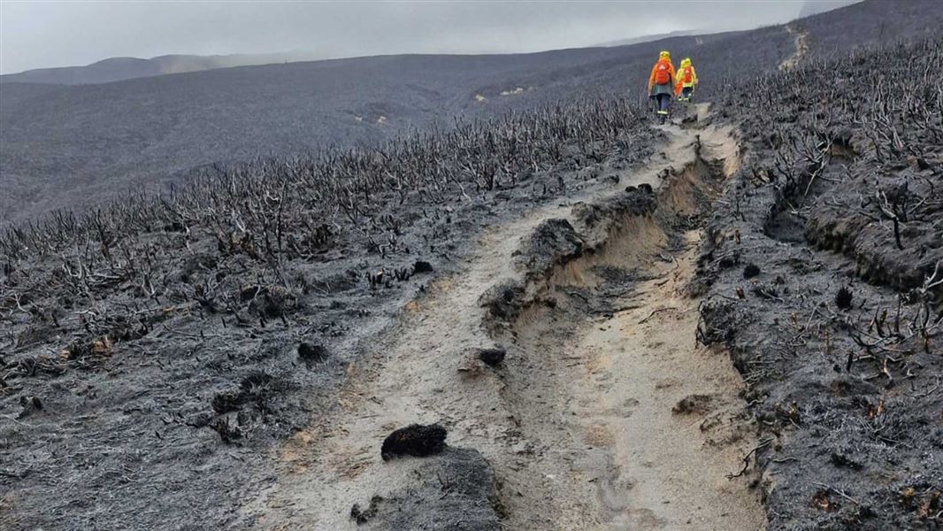 Tongariro National Park fire damage. 