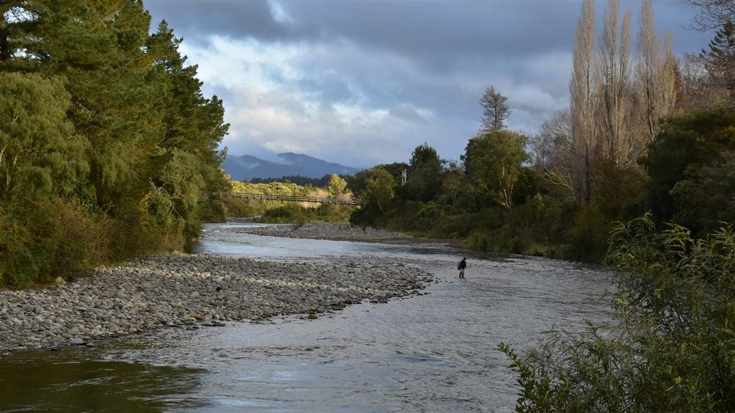 Tongariro river.