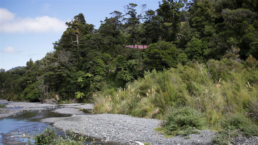 River flowing with trees on river edge.