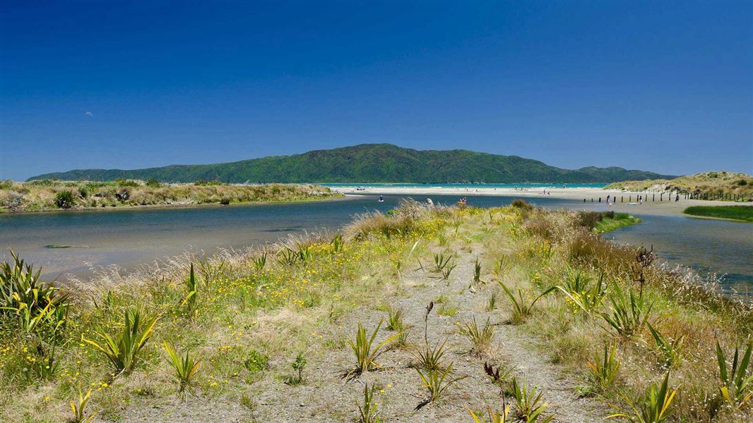 Waikanae area: Places to go in Wellington and Kapiti