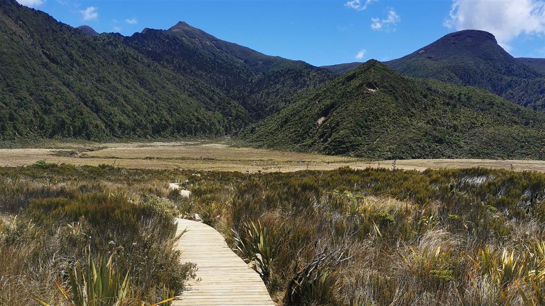 Wooden boardwalk with hills in distance.