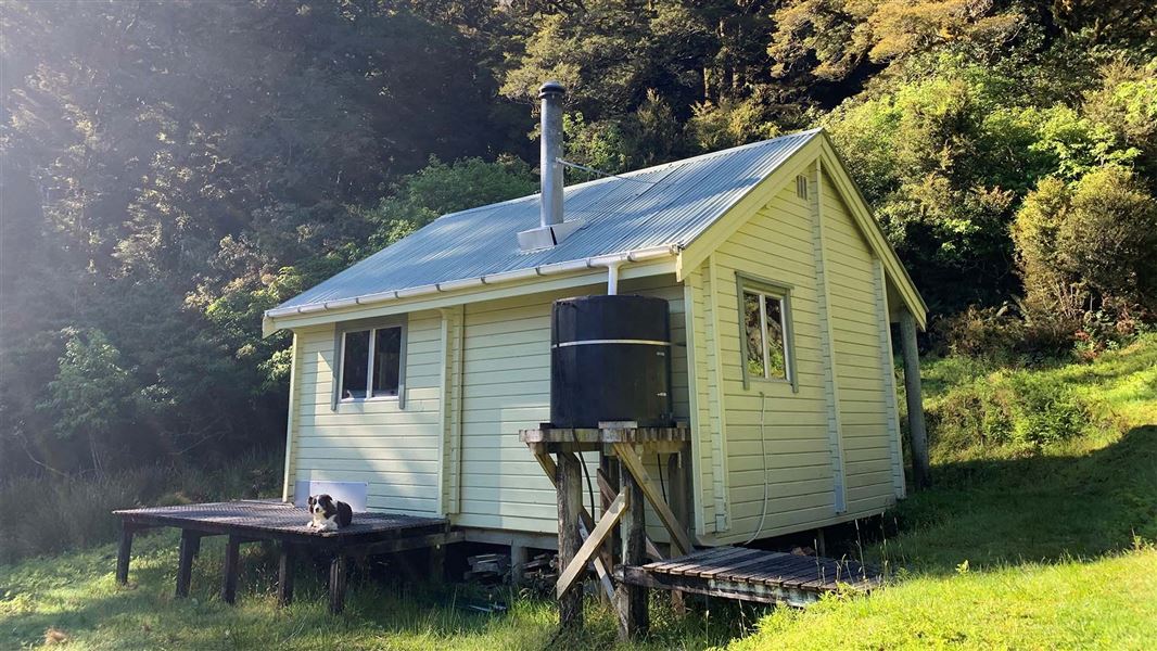 A small wooden hut in a small grassy opening.