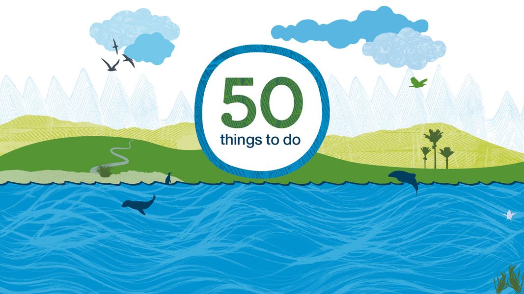 50 things to do banner. 