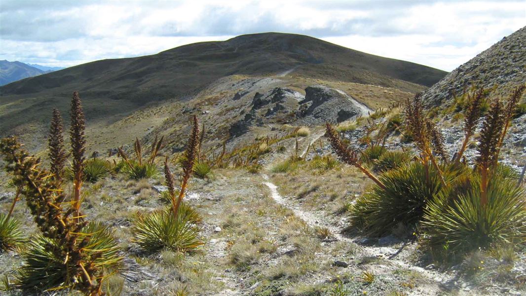 A gravelly small track extends along the top of a line of hills. Far in the distance is rolling hills.