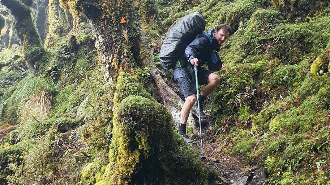 Tramper on Cone Ridge, Tararua Forest Park