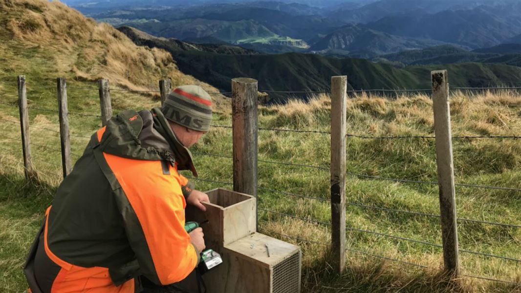 Shane Diphoorn installing a chimney baitstation, Opouahi Station, Poutiri Ao ō Tāne footprint.