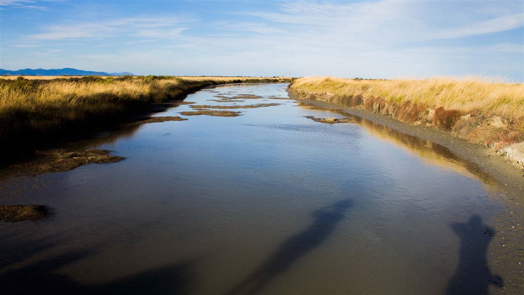 Wairau Lagoons. 