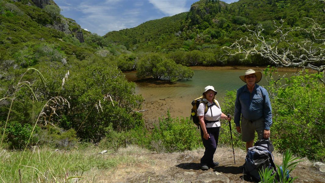 Wairakau Stream Track.