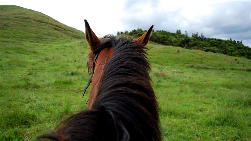 Horse riding