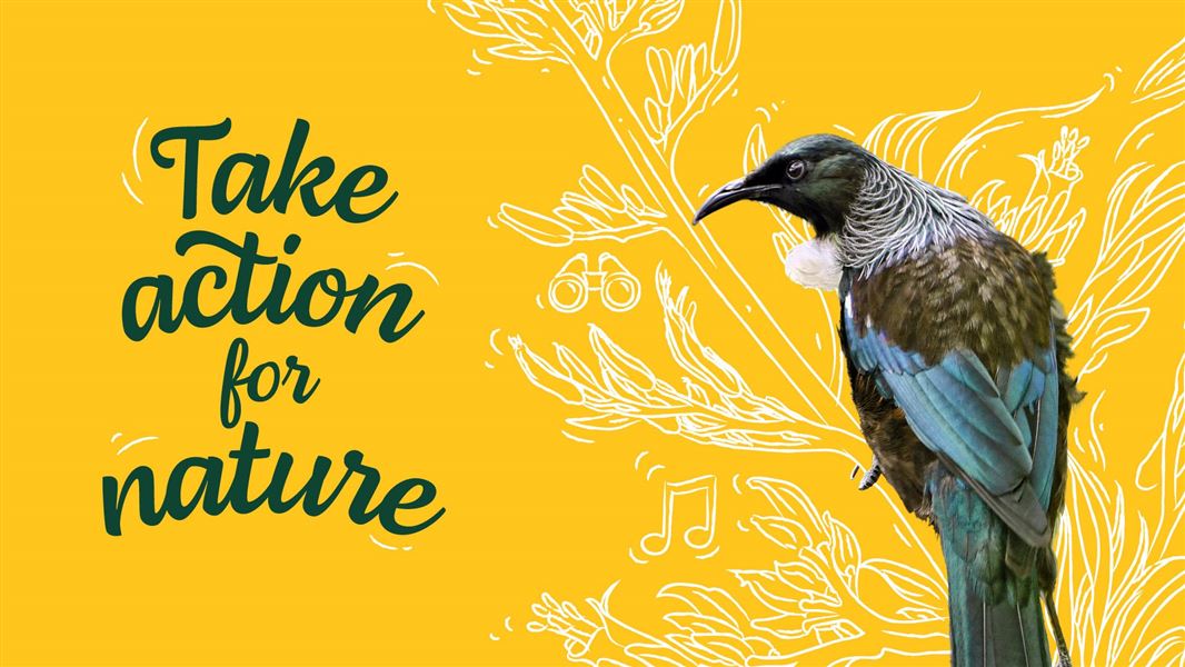 Conservation Week artwork of a tui on a yellow background with text: Take action for nature. 