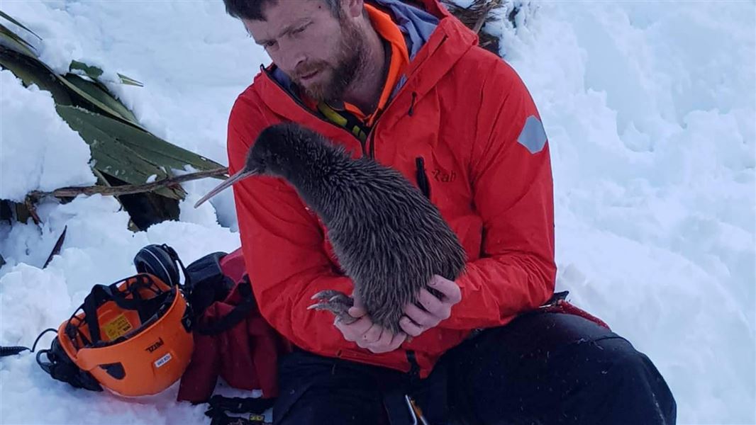 Rescuer and Aroha, a rowi kiwi.