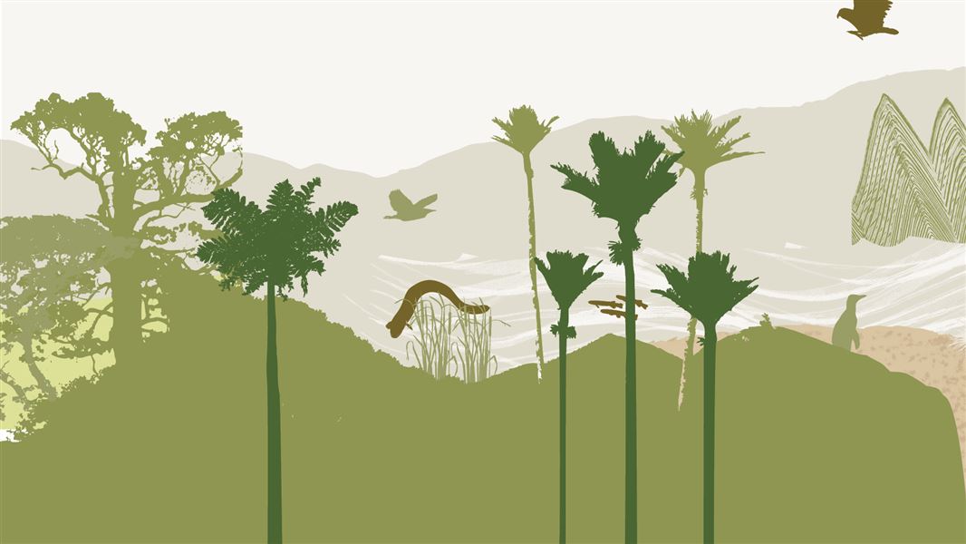 Silhouttes of NZ fauna and flora. The colours used are all variations on green.