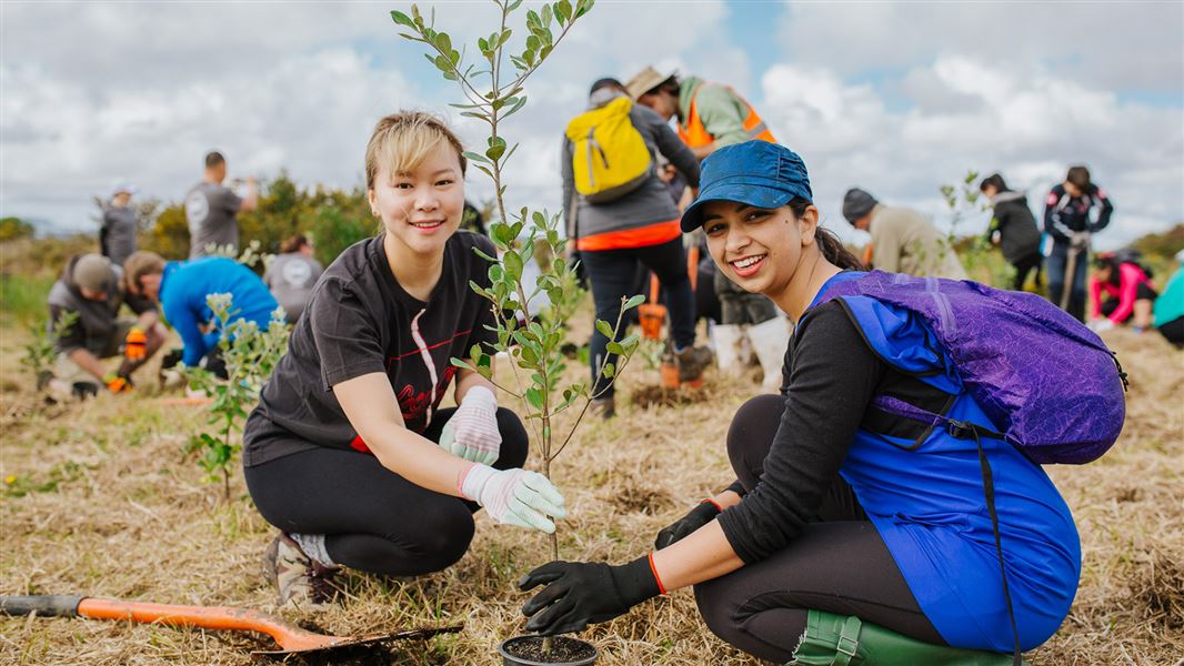 Happy people planting a tree.