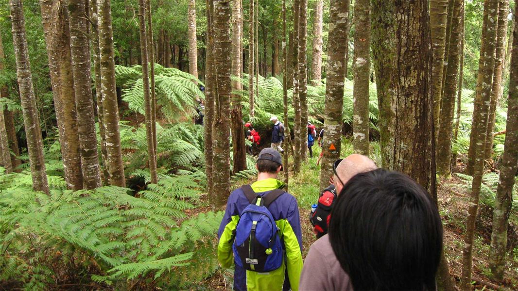 Walking down Mount William. 