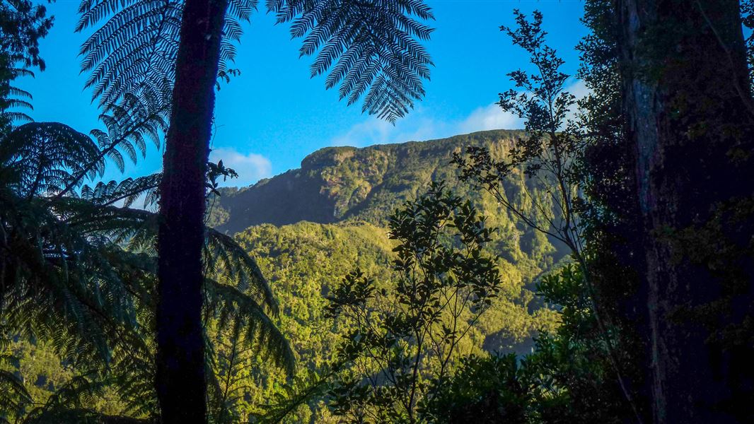 View from Billygoat Circuit