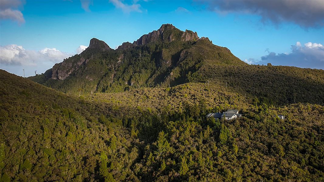 Kauaeranga Kauri Trail