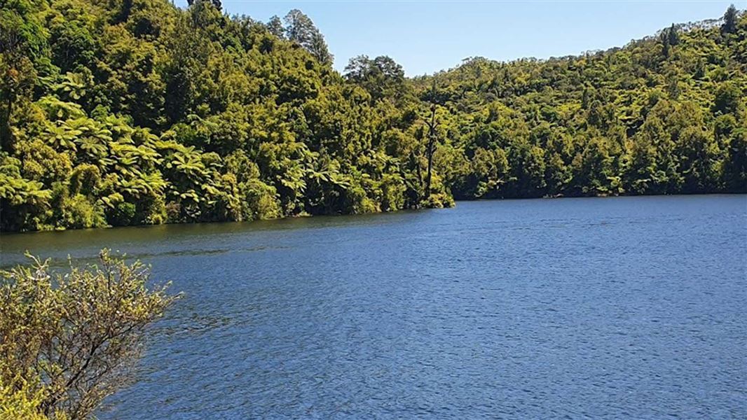 A large blue lake surrounded by dense native forest