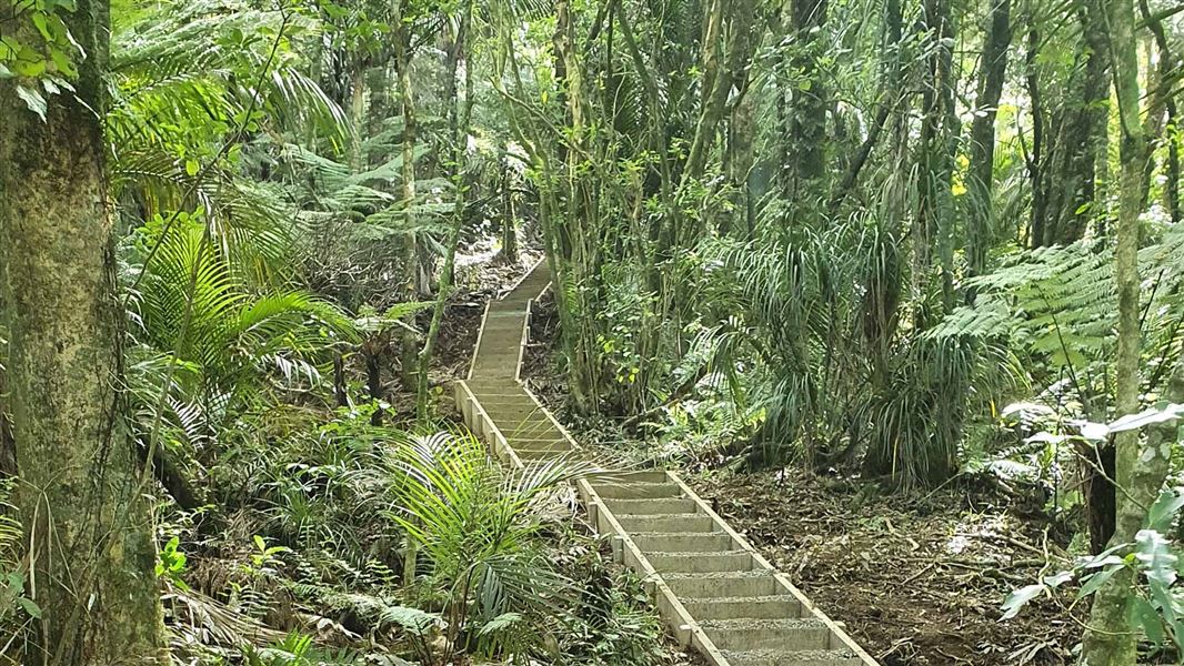 Wooden steps extend upwards through an incline in the bush.