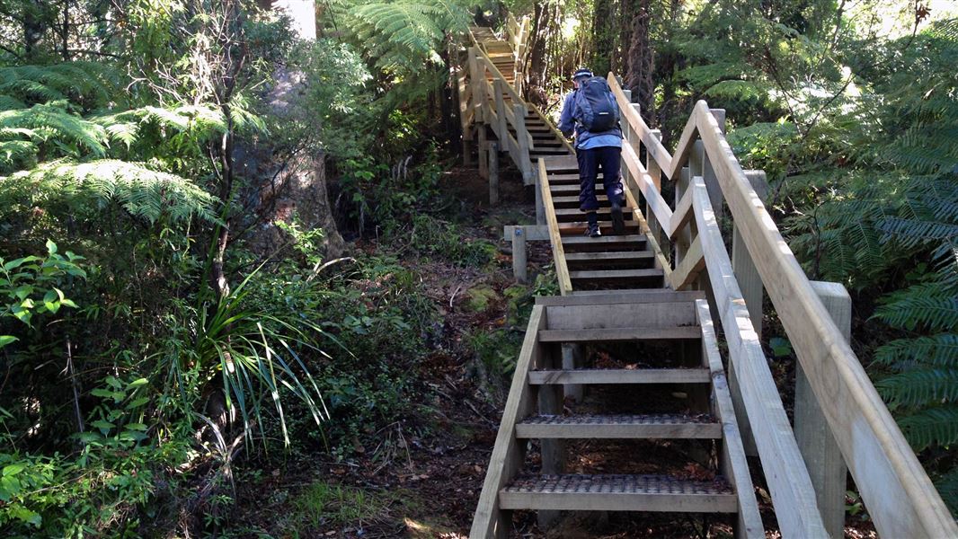 Walking up steps on Hakarimata Summit Track. 