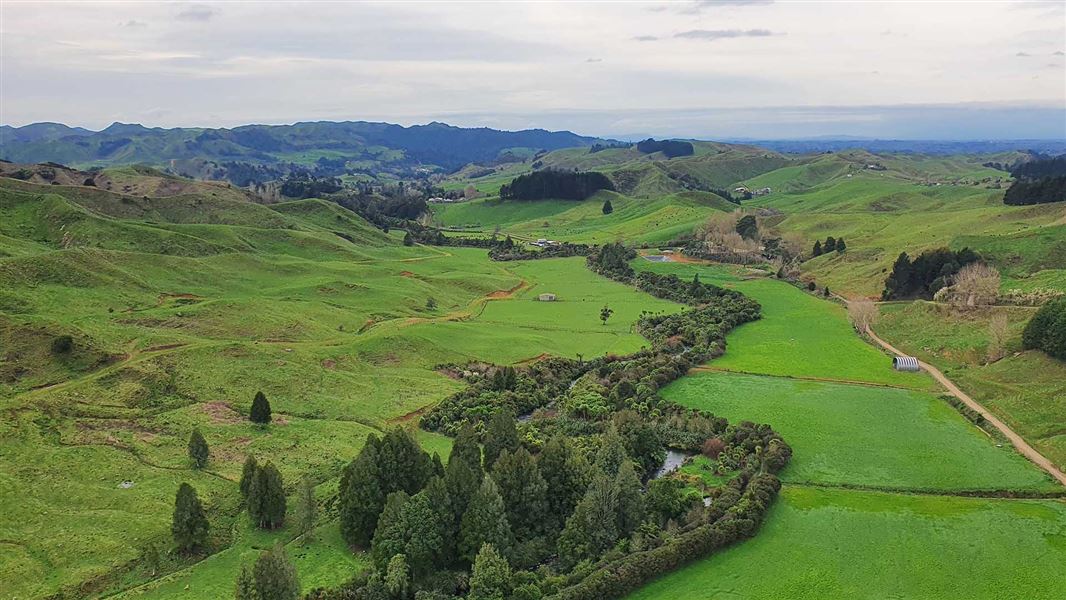View of a green valley with wooded strip running up floor.