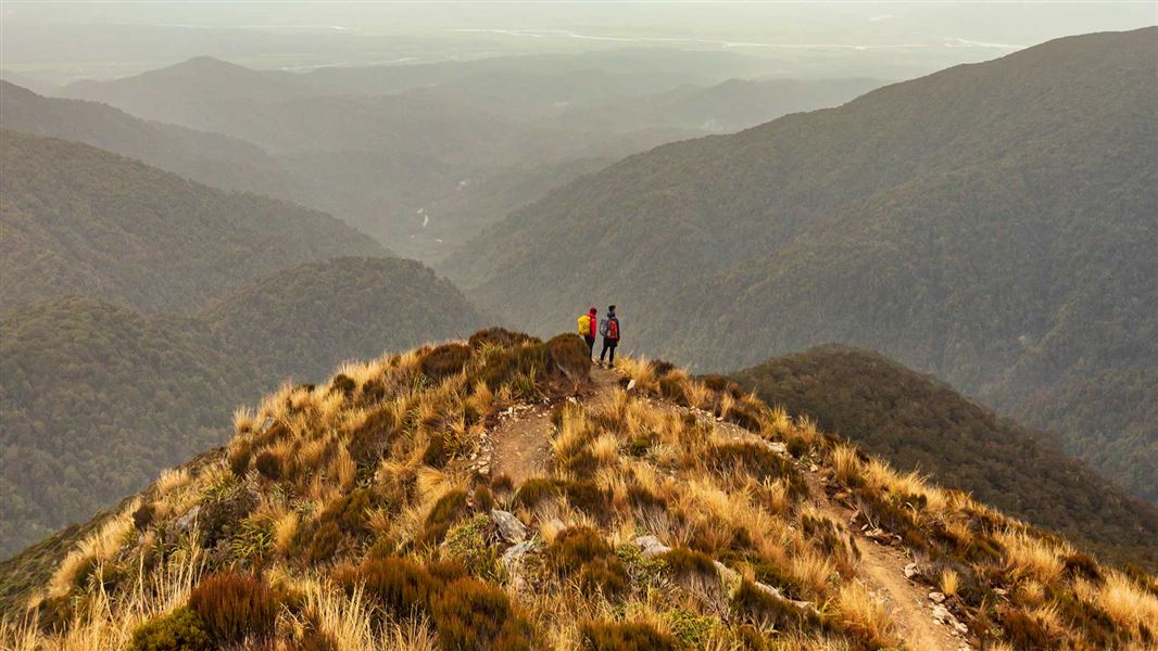 Paparoa Track. 